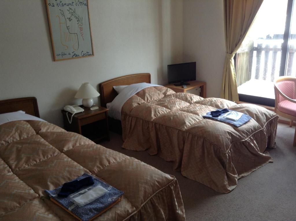 Hakuba Alpine Hotel Rom bilde